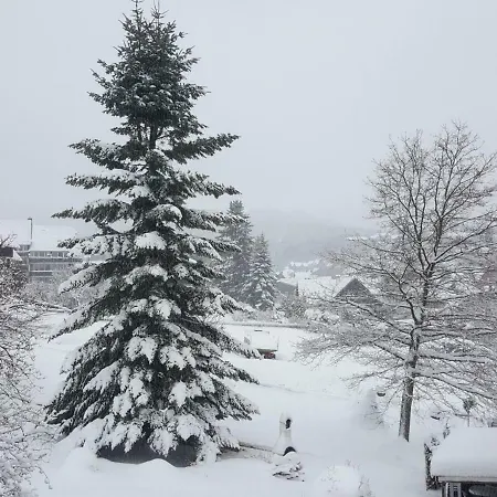 Rieger 1 Appartement Braunlage