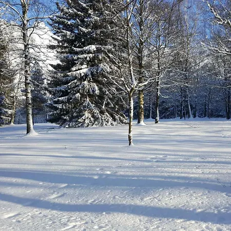 Appartement Rieger 1 *