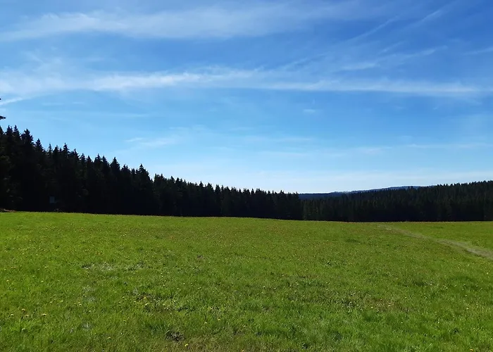 Rieger 1 Daire Braunlage