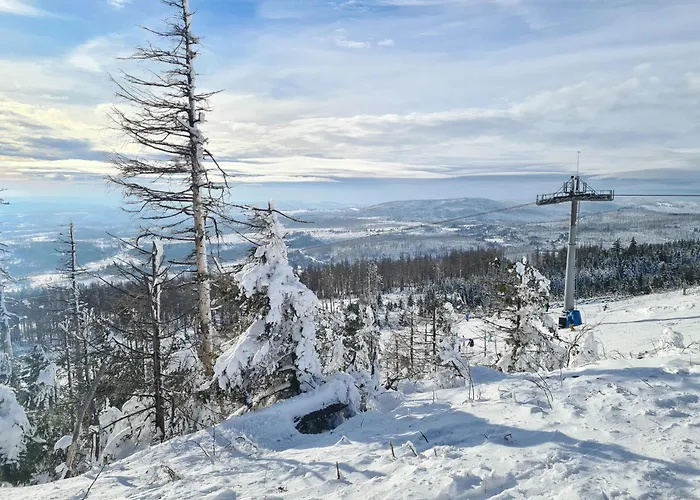 Rieger 1 Daire Braunlage