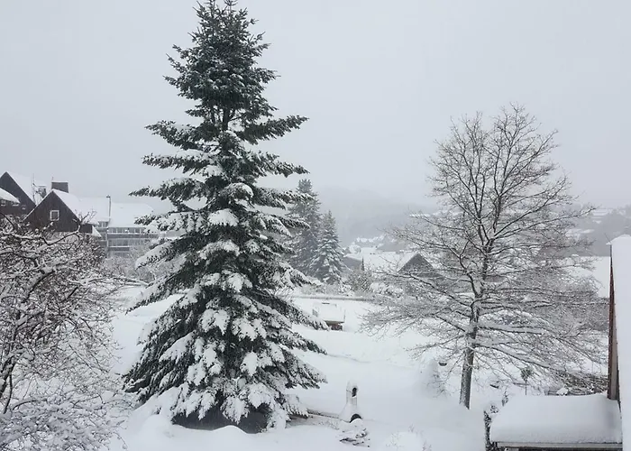 Rieger 1 Daire Braunlage